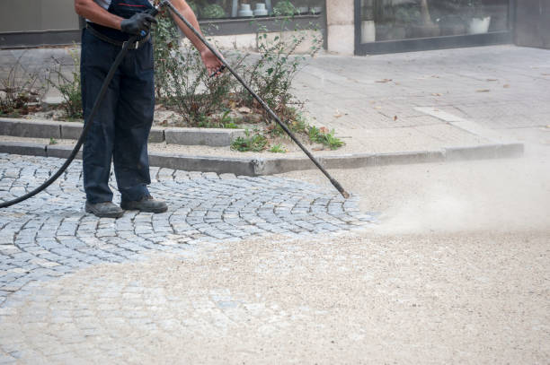 Best Dumpster Area Cleaning  in Langdon, ND
