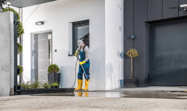 Best Solar Panel Cleaning  in Langdon, ND